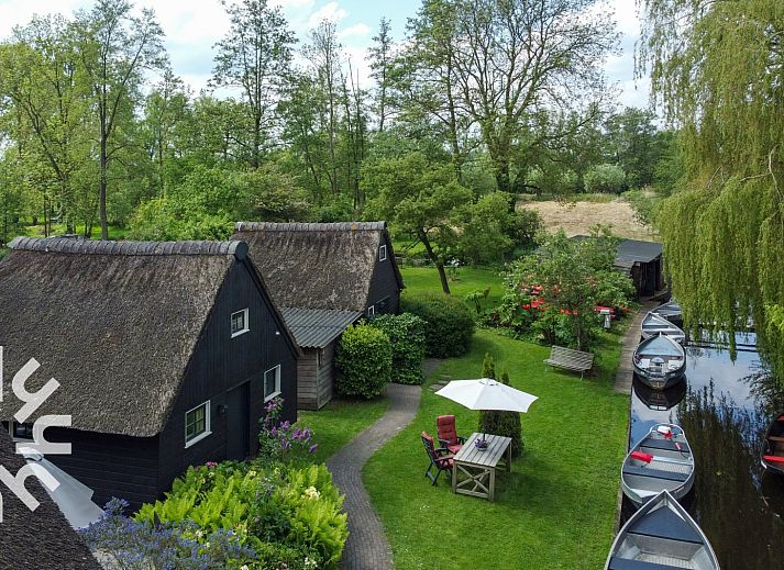 Rustieke weide met koeien nabij OV270 vakantiehuis in Giethoorn, omgeven door de natuur van Noordwest Overijssel.