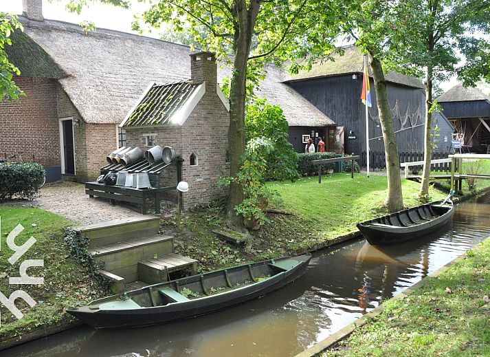 Rustieke weide met koeien nabij OV270 vakantiehuis in Giethoorn, omgeven door de natuur van Noordwest Overijssel.