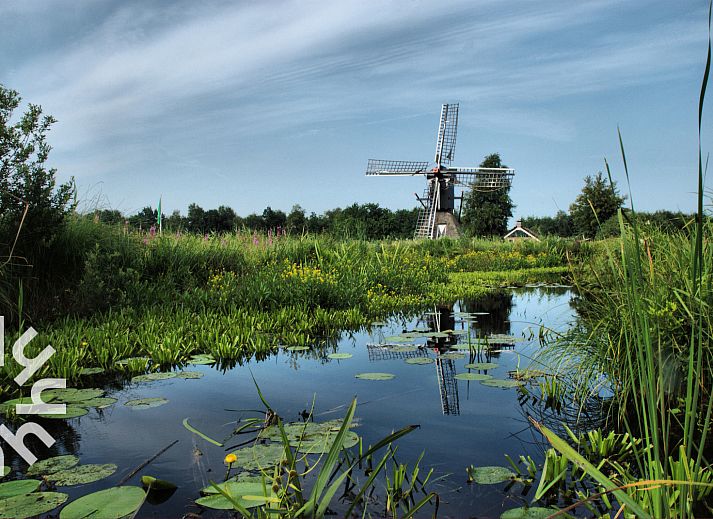 Kanoen bij OV270 vakantiehuis in Giethoorn, een unieke ervaring in het waterland van Noordwest Overijssel.