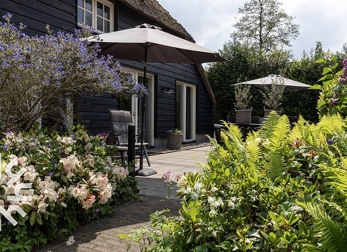 Guest house 5501105 - Holiday property Noordwest Overijssel - OV261