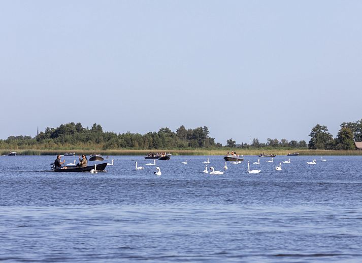 Guest house 5501115 - Holiday property Noordwest Overijssel - OV792