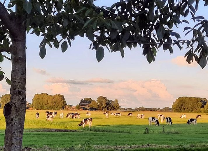 Modern kitchen in Cottage in Giethoorn, vacation home in Northwest Overijssel, with stylish decor and spacious countertops.