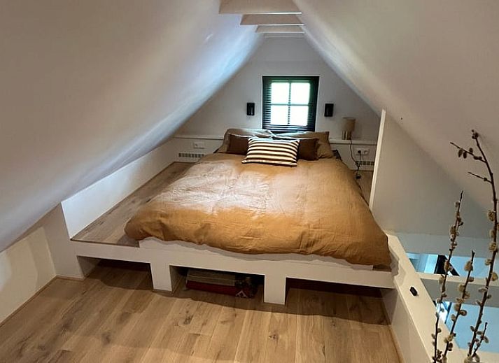 Zwei Ferienhaeuser in Giethoorn mit gruenem Garten in Overijssel.