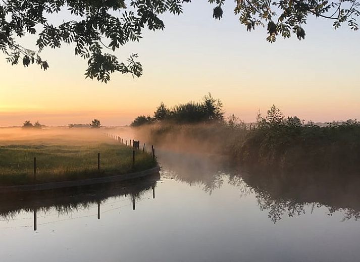 Gemuetliche Veranda des Ferienhauses in Giethoorn mit Blumen in Overijssel.