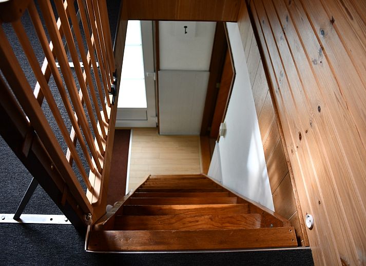Unterkunft 5501140 - Ferienhaus Noordwest Overijssel - OV805