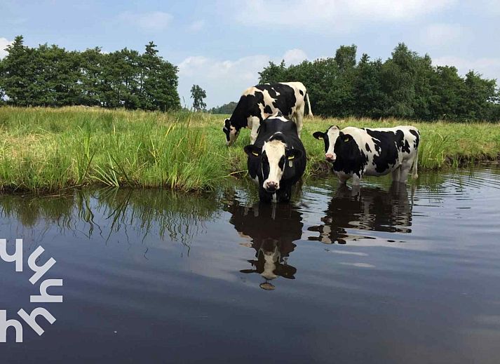 Infrarotsauna im Ferienhaus OV117 in Giethoorn, Nordwest Overijssel, fuer ultimative Entspannung.