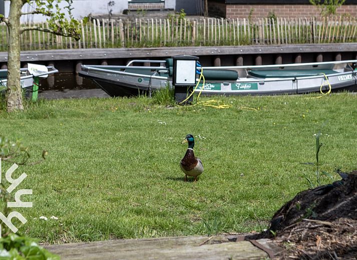 Atemberaubender Sonnenuntergang beim Ferienhaus OV117 in Giethoorn, Nordwest Overijssel.