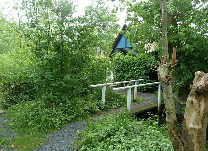 Guest house 550151 - Holiday property Noordwest Overijssel - Huisje in Giethoorn