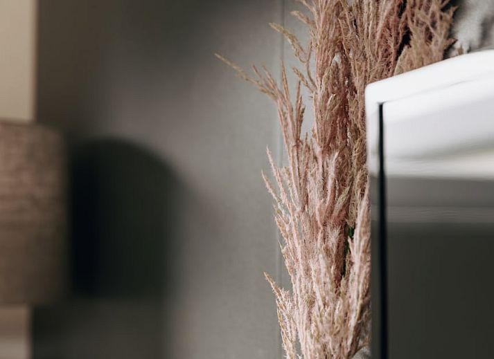 Gezellige woonkamer van Blauwborst 4 chalet in Giethoorn, Noordwest Overijssel, met moderne inrichting en uitzicht op groene omgeving.