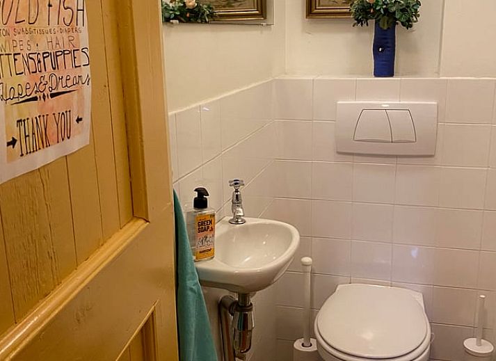 Blick vom Ferienhaus in Giethoorn auf die idyllische Landschaft im Nordwesten von Overijssel.