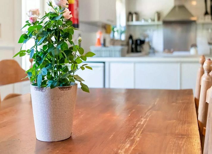 Unterkunft 550194 - Ferienhaus Noordwest Overijssel - Benedenverdieping Hoeve Ginette