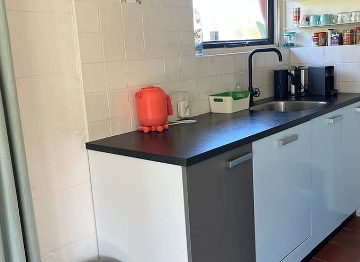 Ruhiger Garten bei Huisje in Giethoorn, Ferienhaus im Nordwesten von Overijssel mit schattigem Sitzbereich und gruener Umgebung.