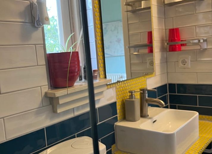 Ruhiger Garten bei Huisje in Giethoorn, Ferienhaus im Nordwesten von Overijssel mit schattigem Sitzbereich und gruener Umgebung.