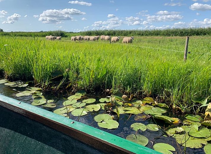 Unterkunft 550195 - Ferienhaus Noordwest Overijssel - Huisje in Giethoorn