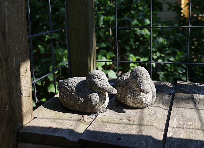 Vakantiehuis OV699 in Giethoorn, Overijssel met uitzicht op water en natuur.