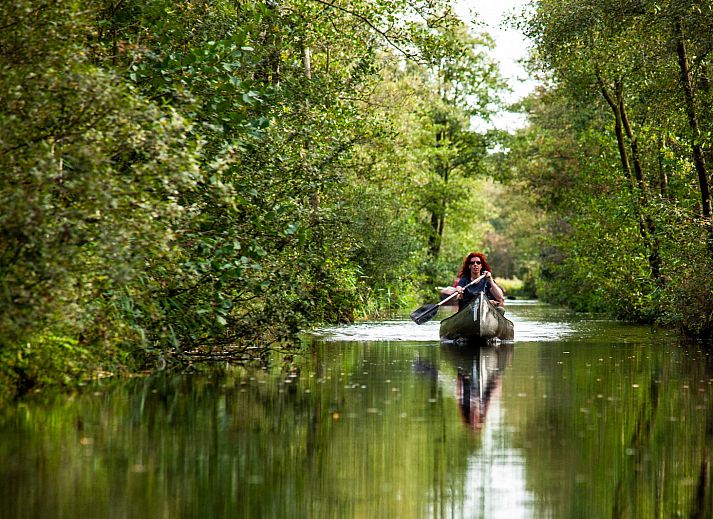 Otter in de natuurlijke omgeving van vakantiehuis OV699 in Giethoorn, Overijssel.