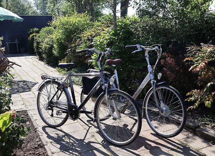 Terras van vakantiehuis OV699 in Giethoorn, Overijssel met barbecue en zitgedeelte.