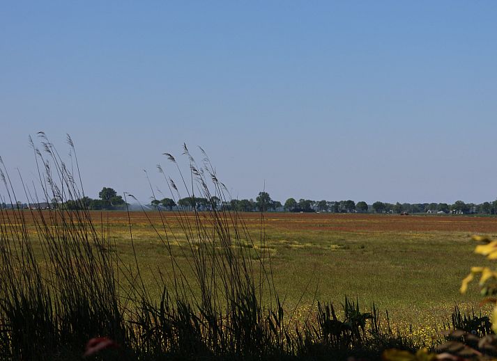 Gezellige woonkamer van vakantiehuis OV699 in Giethoorn, Overijssel met uitzicht op de natuur.