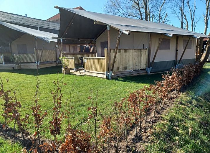 Unterkunft 550213 - Zelthaus Noordwest Overijssel - Safaritent