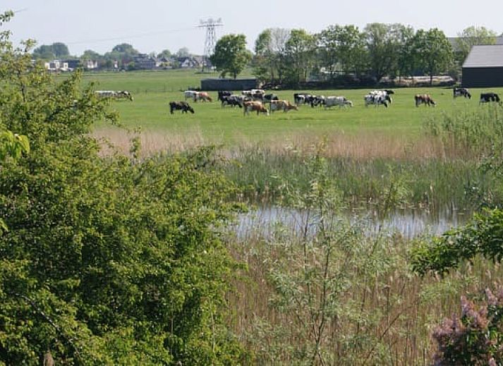 Unterkunft 550213 - Zelthaus Noordwest Overijssel - Safaritent