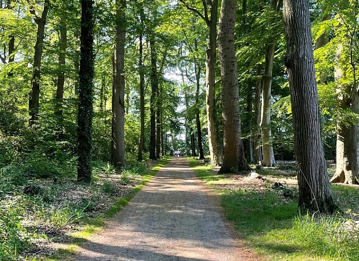 Unterkunft 550304 - Ferienhaus Noordwest Overijssel - Huisje in Vollenhove