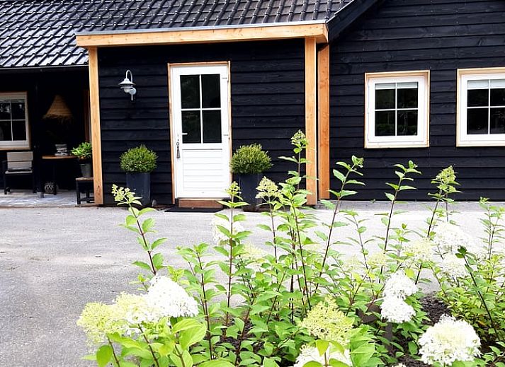 Relax on the sandy beach at Holiday Home in De Bult, Overijssel, overlooking a serene pond and green surroundings.