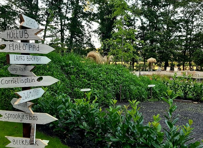 Blooming flowers and a peaceful pond at Holiday Home in De Bult, Overijssel, offer picturesque views from the terrace.