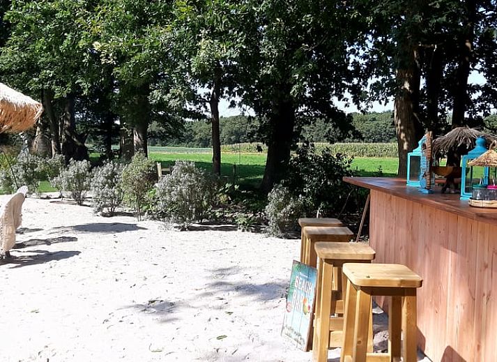 Blooming flowers and a peaceful pond at Holiday Home in De Bult, Overijssel, offer picturesque views from the terrace.
