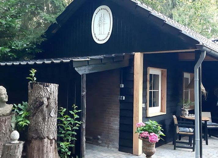 Blooming flowers and a peaceful pond at Holiday Home in De Bult, Overijssel, offer picturesque views from the terrace.
