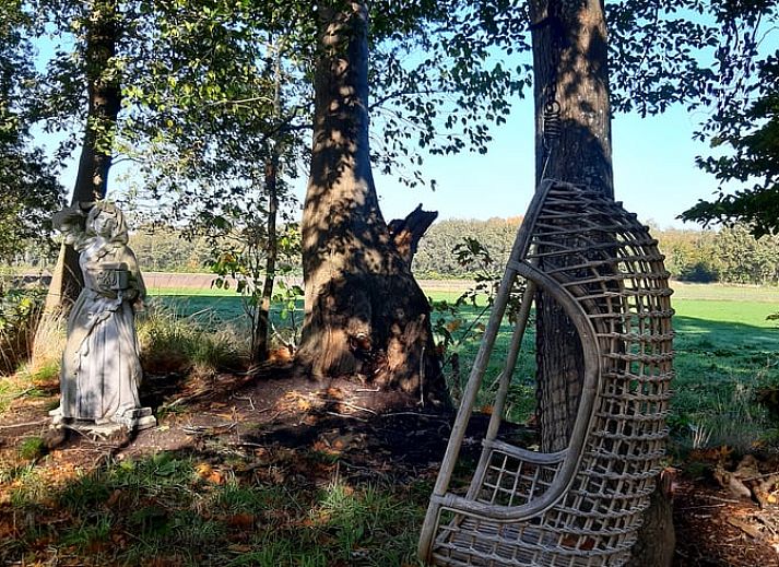 Rustic wooden terrace overlooking the pond at Cottage in De Bult, northwest Overijssel, surrounded by lush nature.