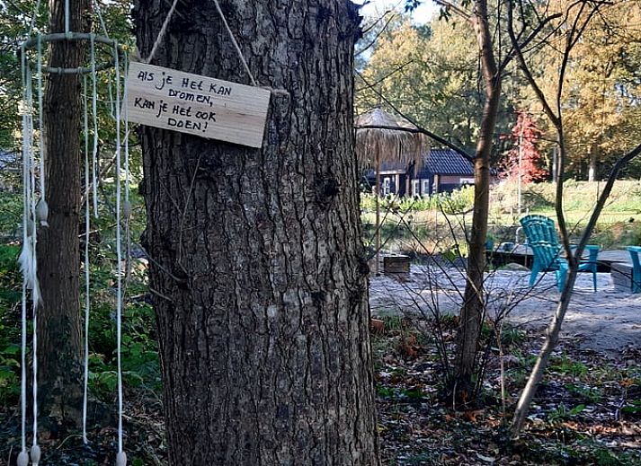 Rustic wooden terrace overlooking the pond at Cottage in De Bult, northwest Overijssel, surrounded by lush nature.