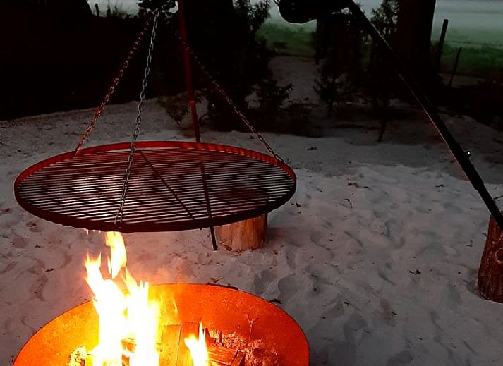 Rustic wooden terrace overlooking the pond at Cottage in De Bult, northwest Overijssel, surrounded by lush nature.