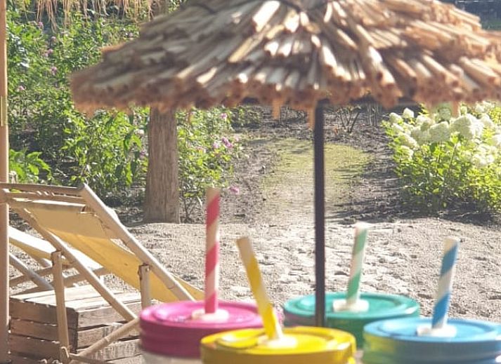 Charming facade of Holiday Home in De Bult, Overijssel, with flowering hydrangeas and an inviting entrance.