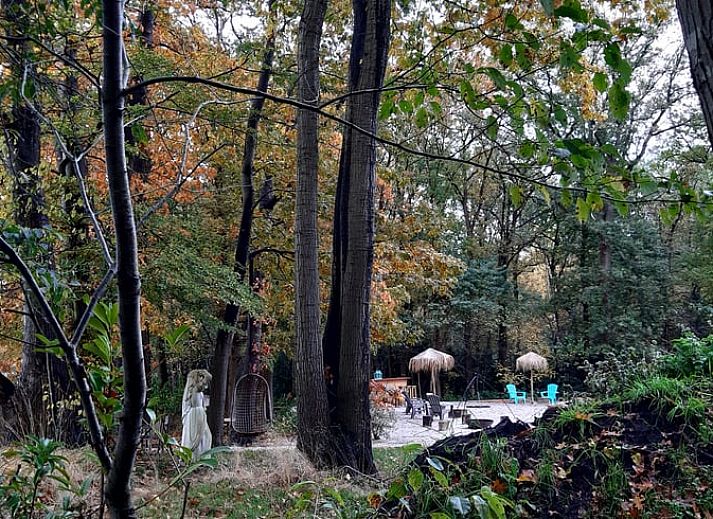 Guest house 550411 - Holiday property Noordwest Overijssel - Vakantiehuisje in De Bult