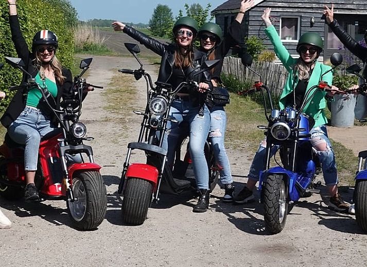 Aussenansicht des Ferienhauses in Wanneperveen, Overijssel, mit laendlicher Atmosphaere und gruener Umgebung.