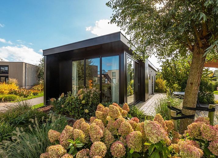 Verblijf 550639 - Vakantiewoning Noordwest Overijssel - Vakantiehuis De Wiedense Meren - Rietland Lodge | 4p