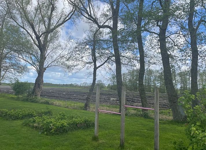 Authentic vacation home with thatched roof in Wanneperveen, surrounded by greenery and tranquility.