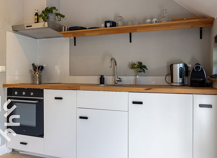 Charmant vakantiehuis OV590 in Wanneperveen, Overijssel, met rieten dak en groene omgeving.