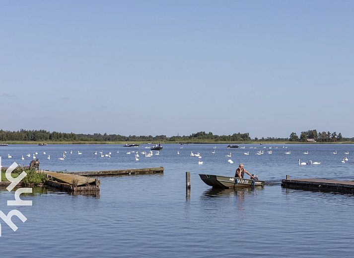 Smits Pavilion bei OV591 Ferienhaus in Wanneperveen, Overijssel mit Terrasse am Wasser.