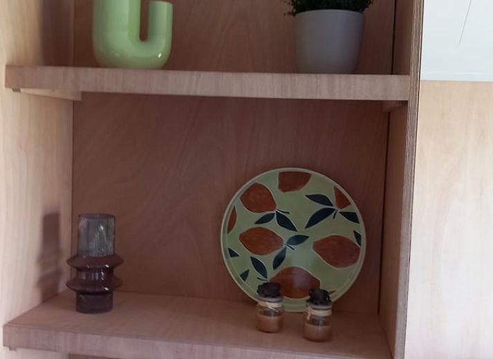 Ferienhaus in Scheerwolde, Overijssel, mit laendlicher Atmosphaere und Blick auf gruene Felder.