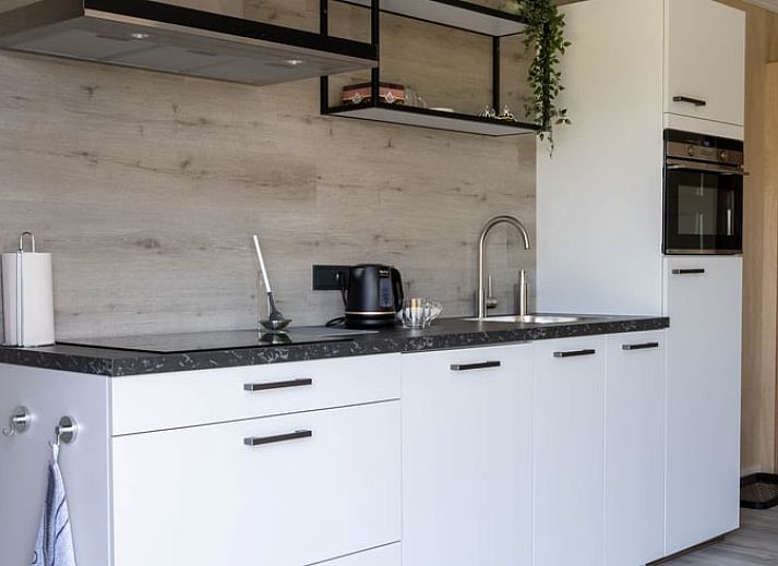 Ferienhaus in Scheerwolde, Overijssel, mit laendlicher Atmosphaere und Blick auf gruene Felder.