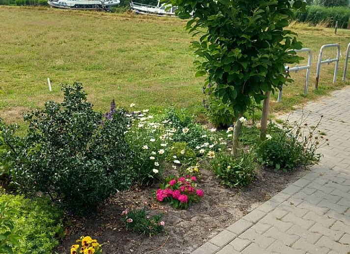 Gemuetliche Sitzecke im Ferienhaus in Scheerwolde, Overijssel, mit bunten Kissen und natuerlichem Licht.