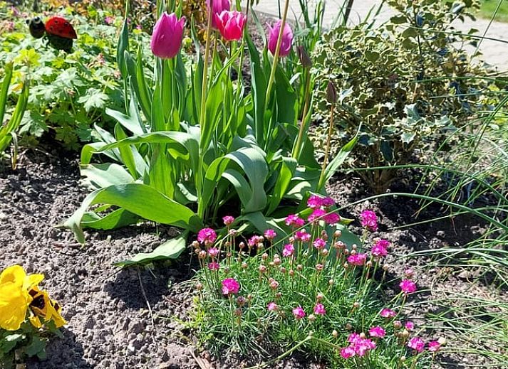 Gemuetliche Sitzecke im Ferienhaus in Scheerwolde, Overijssel, mit bunten Kissen und natuerlichem Licht.