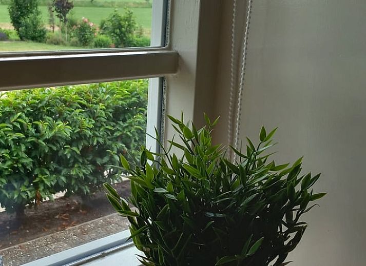 Unterkunft 550809 - Ferienhaus Noordwest Overijssel - Vakantiehuisje in Scheerwolde