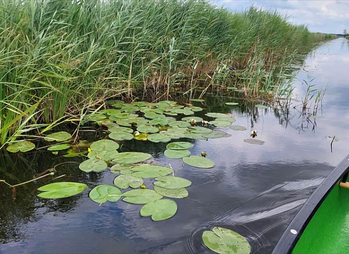 Unterkunft 550809 - Ferienhaus Noordwest Overijssel - Vakantiehuisje in Scheerwolde