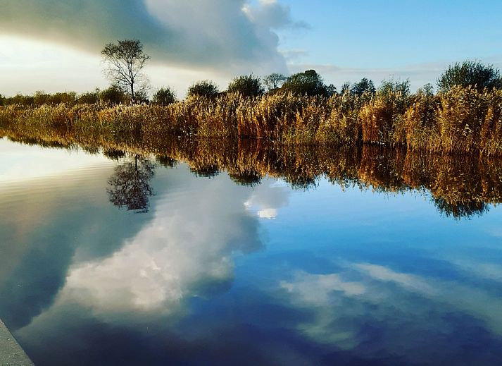 Gemuetliches Wohnzimmer im Ferienhaus OV700, Scheerwolde, mit bunten Kissen und Blumen in Overijssel.