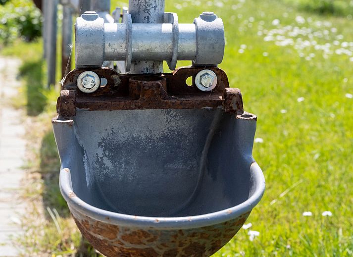 Gemuetliches Wohnzimmer im Ferienhaus OV700, Scheerwolde, mit bunten Kissen und Blumen in Overijssel.