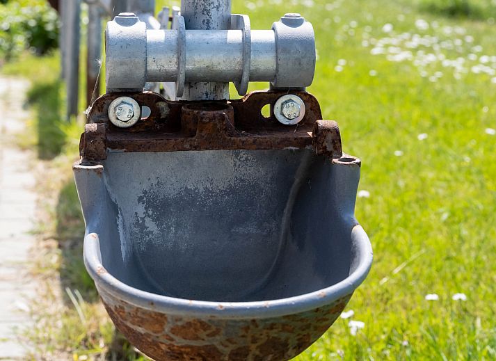 Charmant vakantiehuis OV701 in Scheerwolde, Overijssel met een uitnodigende veranda en groene omgeving.