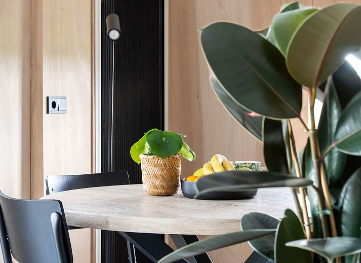 Gezellige binnenruimte van OV701 vakantiehuis in Scheerwolde, Overijssel met comfortabele zithoek.