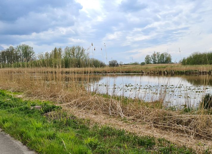 Unterkunft 550815 - Ferienhaus Noordwest Overijssel - OV035
